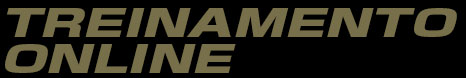 Treinamento Online