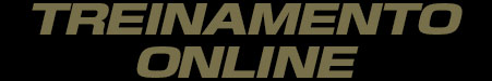 Treinamento Online