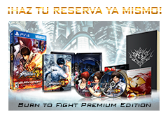 Pre-order the Burn to Fight Premium Edition