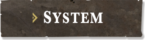 SYSTEM