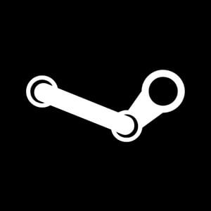 Steam