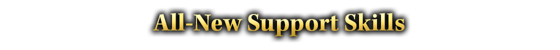 Support Skills Section